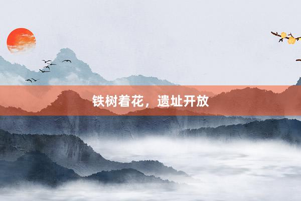 铁树着花，遗址开放