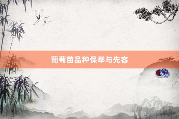 葡萄苗品种保举与先容